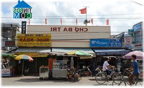 Image of List companies in Ba Tri Town- Ba Tri District- Ben Tre
