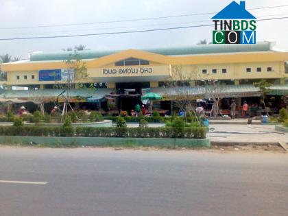 Image of List companies in Luong Quoi Commune- Giong Trom District- Ben Tre