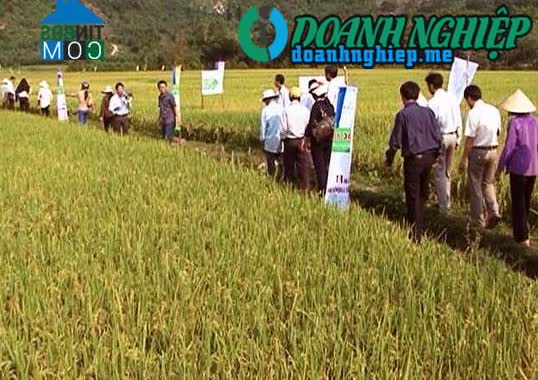 Image of List companies in An Tan Commune- An Lao District- Binh Dinh