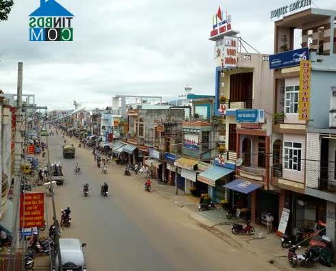 Image of List companies in Hoai Chau Commune- Hoai Nhon Town- Binh Dinh