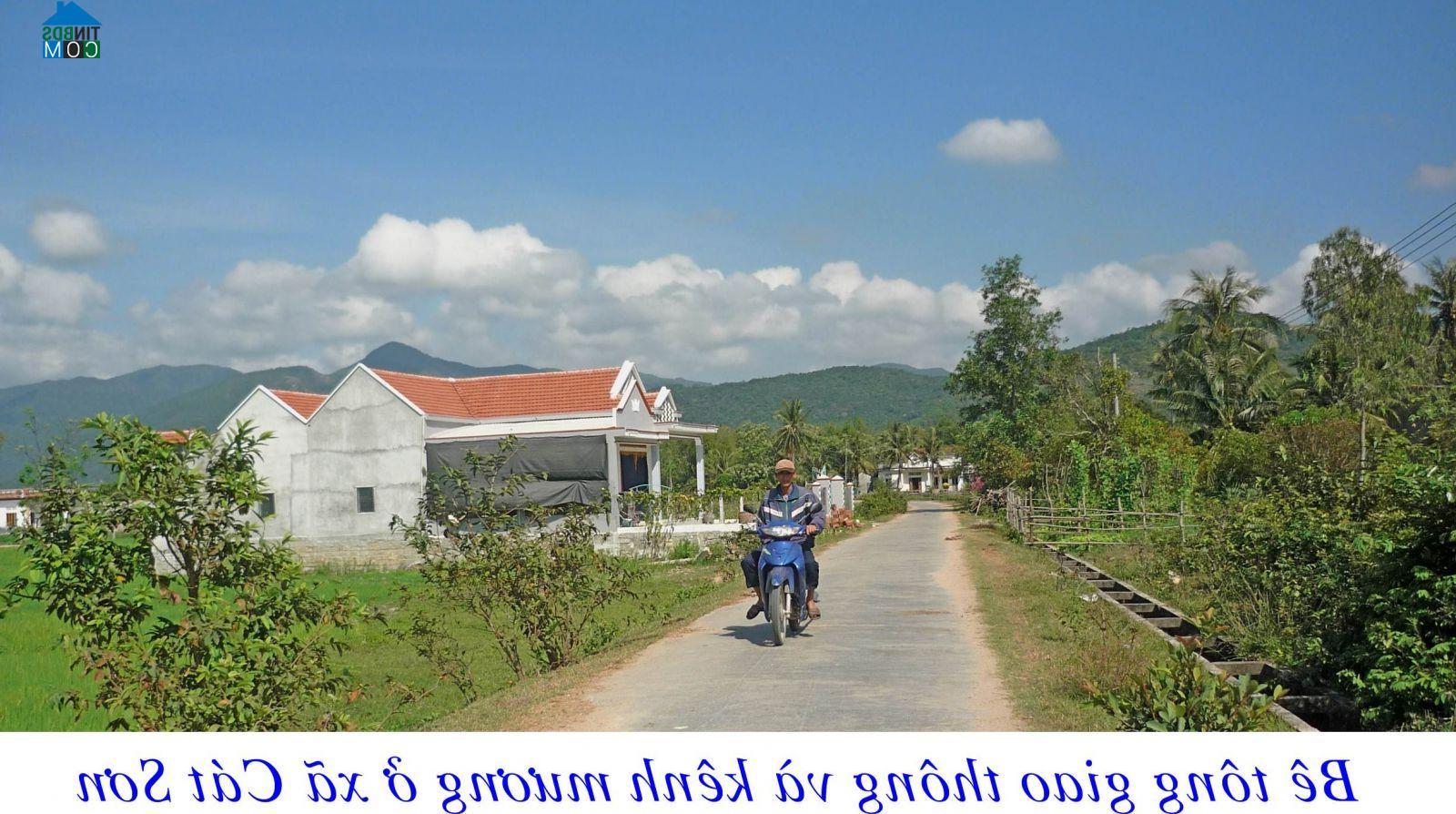 Ảnh về Doanh nghiệp tại Xã Cát Sơn- Huyện Phù Mỹ- Bình Định