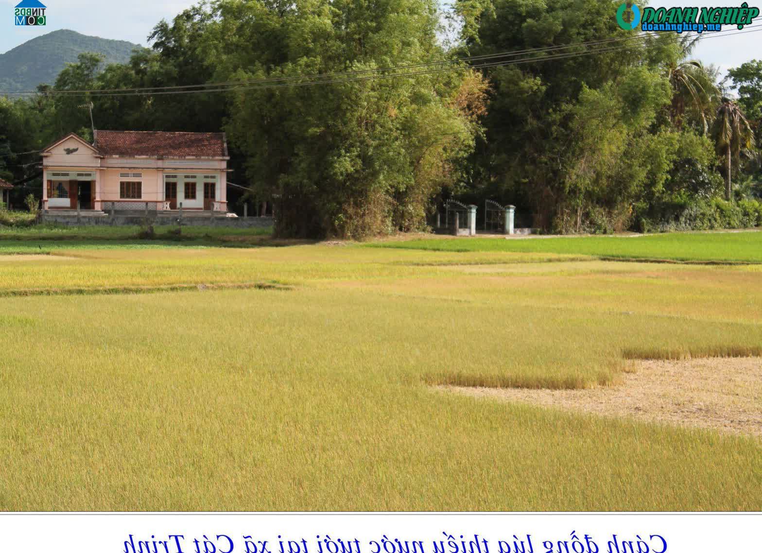 Image of List companies in Cat Trinh Commune- Phu Cat District- Binh Dinh