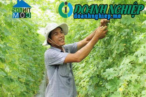 Image of List companies in Phuoc Hiep Commune- Tuy Phuoc District- Binh Dinh