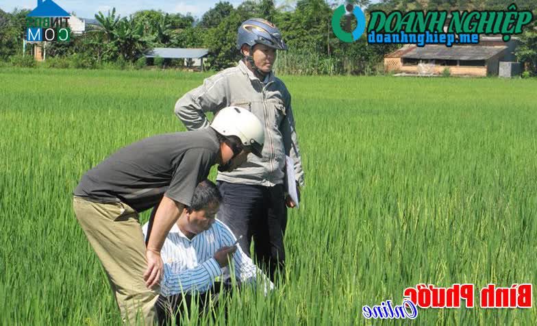 Image of List companies in Dang Ha Commune- Bu Dang District- Binh Phuoc