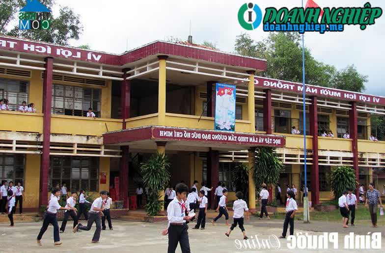 Image of List companies in Tan Tien Commune- Bu Dop District- Binh Phuoc
