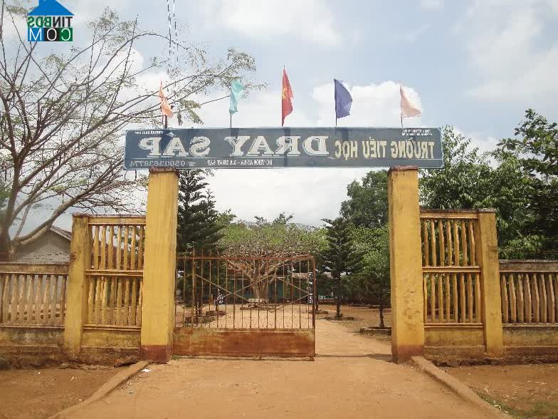 Image of List companies in Dray Sap Commune- Krong Ana District- Dak Lak