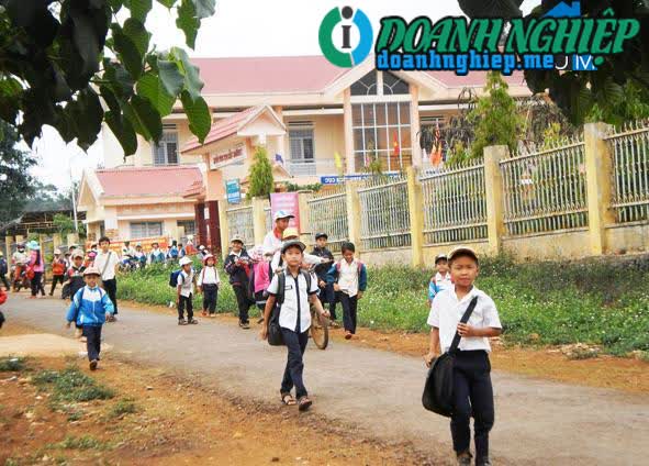 Image of List companies in Tan Lap Commune- Krong Buk District- Dak Lak