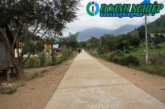 Image of List companies in Cu Pui Commune- Krong Bong District- Dak Lak