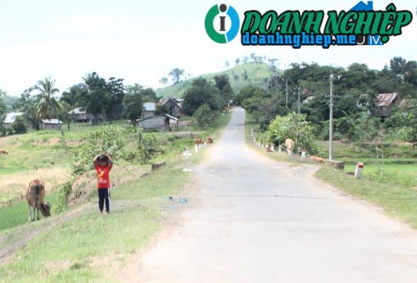 Image of List companies in Yang Mao Commune- Krong Bong District- Dak Lak