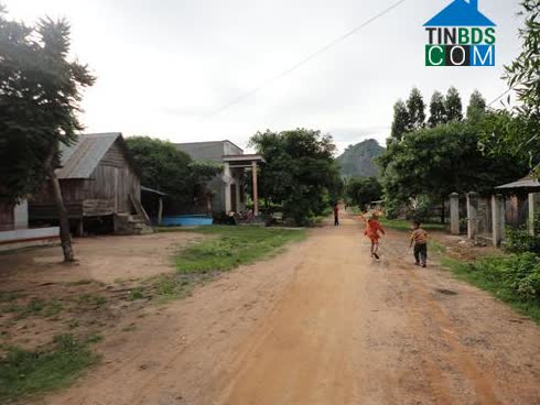 Ảnh về Doanh nghiệp tại Xã Yang Reh- Huyện Krông Bông- Đắk Lắk