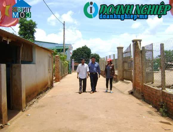 Image of List companies in Cu Pong Commune- Krong Buk District- Dak Lak