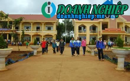 Image of List companies in Ea Tam Commune- Krong Nang District- Dak Lak