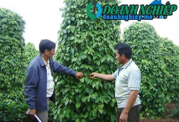 Image of List companies in Ea Tan Commune- Krong Nang District- Dak Lak