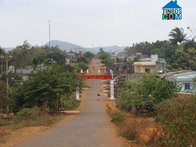 Image of List companies in Ea Yong Commune- Krong Pac District- Dak Lak