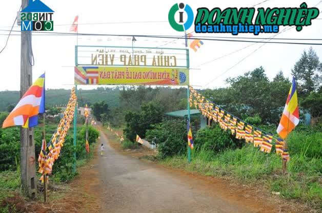 Image of List companies in Dak Wer Commune- Dak R'Lap District- Dak Nong