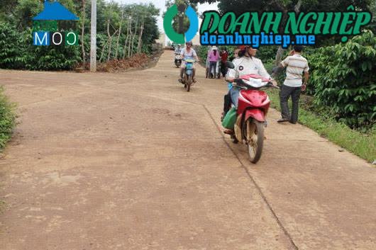 Image of List companies in Dak R'La Commune- Dak Mil District- Dak Nong