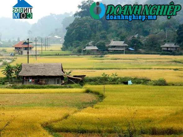Image of List companies in Thanh Xuong Commune- Dien Bien District- Dien Bien