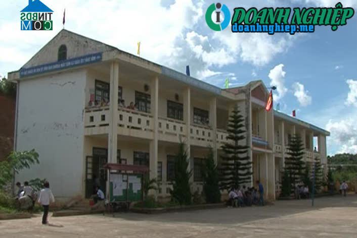 Image of List companies in Dien Bien Dong Town- Dien Bien Dong District- Dien Bien