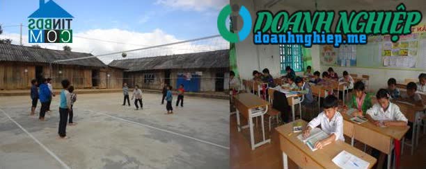 Image of List companies in Nong U Commune- Dien Bien Dong District- Dien Bien