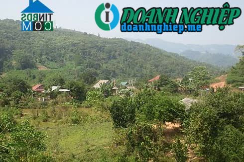 Image of List companies in Phinh Giang Commune- Dien Bien Dong District- Dien Bien