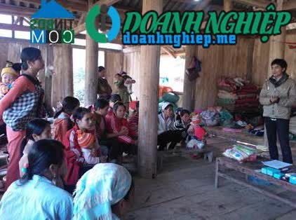 Image of List companies in Muong Tung Commune- Muong Cha District- Dien Bien