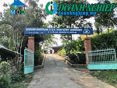 Image of List companies in Muong Muon Commune- Muong Cha District- Dien Bien