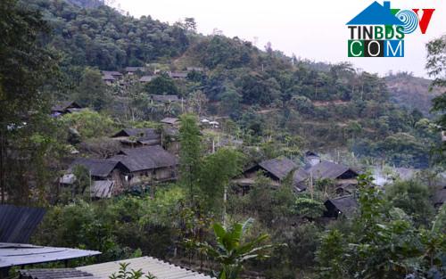 Image of List companies in Nam Nhu Commune- Nam Po District- Dien Bien