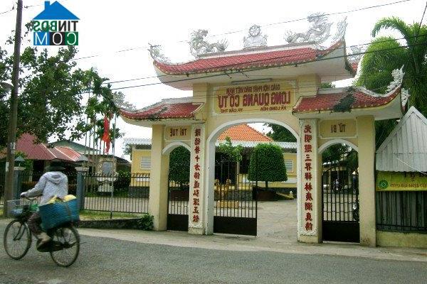 Image of List companies in Long Hoa Ward- Binh Thuy District- Can Tho
