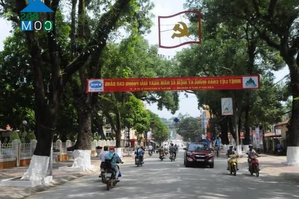 Image of List companies in Hop Giang Ward- Cao Bang City- Cao Bang