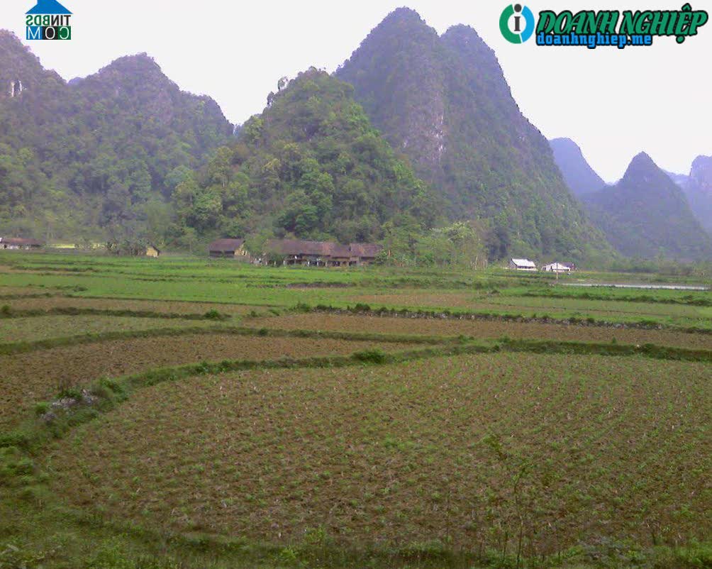 Image of List companies in Chi Thao Commune- Quang Uyen District- Cao Bang