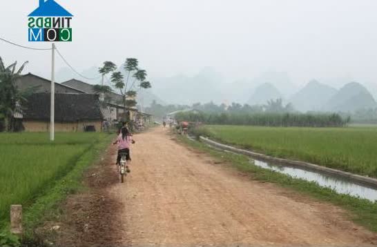 Image of List companies in My Hung Commune- Phuc Hoa District- Cao Bang
