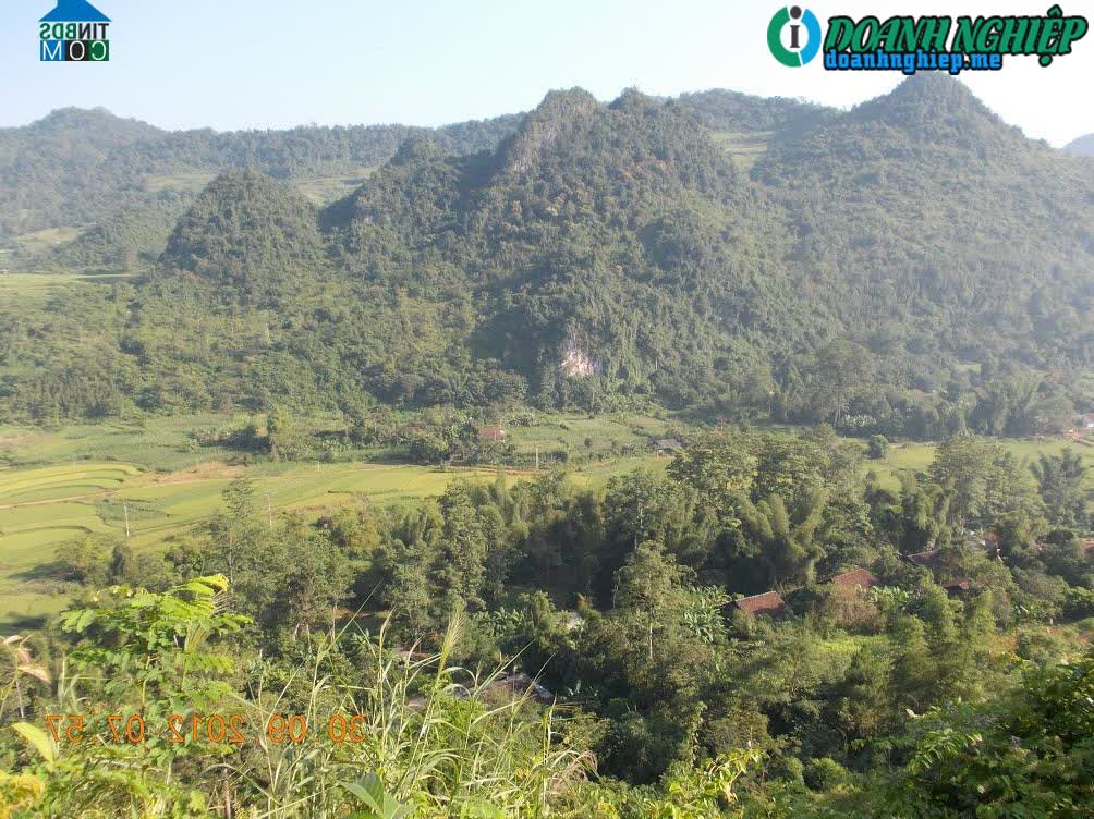 Image of List companies in Can Yen Commune- Thong Nong District- Cao Bang