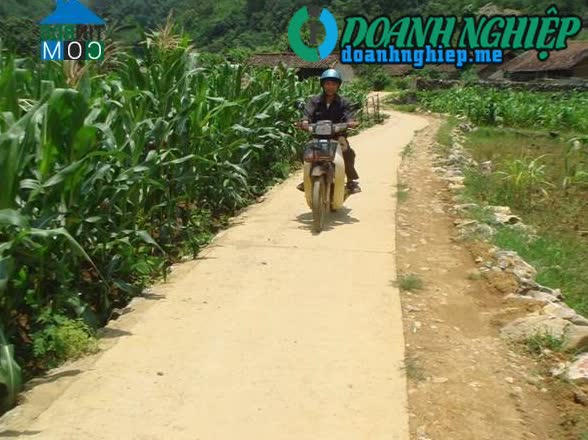 Image of List companies in Quoc Dan Commune- Quang Uyen District- Cao Bang
