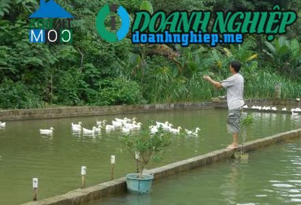 Image of List companies in Quoc Phong Commune- Quang Uyen District- Cao Bang