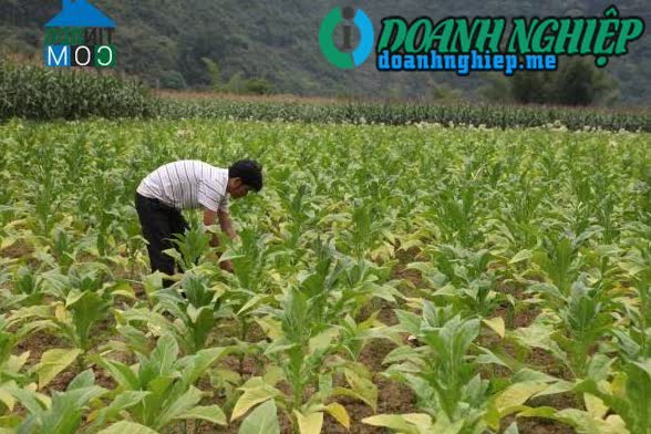Ảnh về Doanh nghiệp tại Xã Thân Giáp- Huyện Trùng Khánh- Cao Bằng