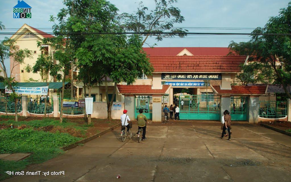 Image of List companies in Ea Tieu Commune- Cu Kuin District- Dak Lak
