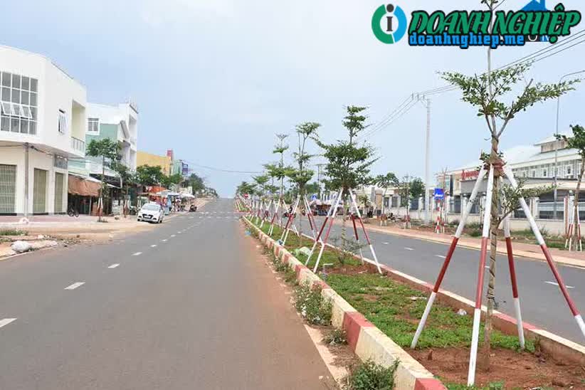 Image of List companies in Tra Da Commune- Pleiku City- Gia Lai