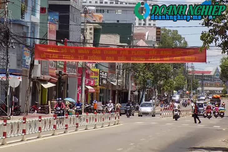 Image of List companies in Hoi Thuong Ward- Pleiku City- Gia Lai