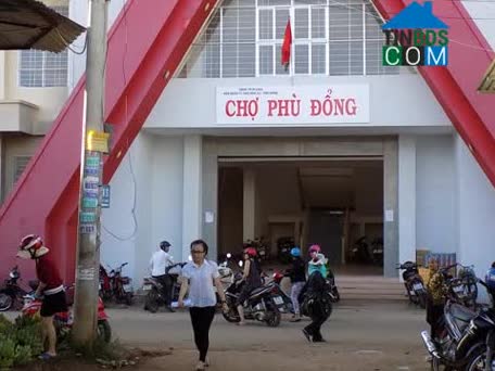 Image of List companies in Phu Dong Ward- Pleiku City- Gia Lai