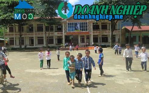 Image of List companies in Pu Nhung Commune- Tuan Giao District- Dien Bien