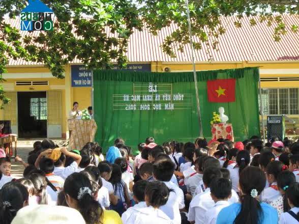 Ảnh về Doanh nghiệp tại Xã Phú Lộc- Quận Tân Phú- Đồng Nai