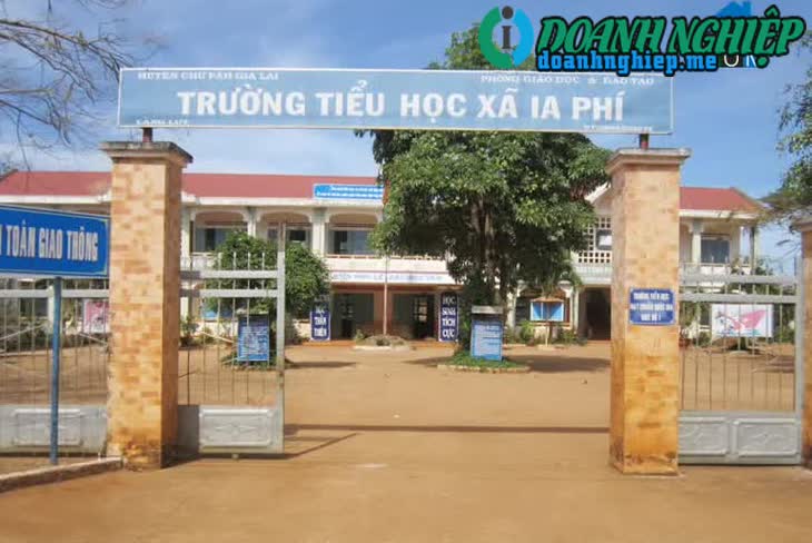 Image of List companies in Ia Phi Commune- Chu Pah District- Gia Lai