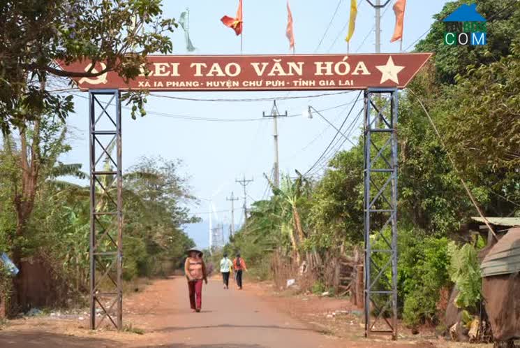 Ảnh về Doanh nghiệp tại Xã Ia Phang- Huyện Chư Pưh- Gia Lai