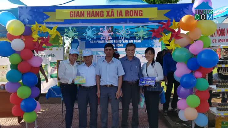 Image of List companies in Ia Rong Commune- Chu Puh District- Gia Lai