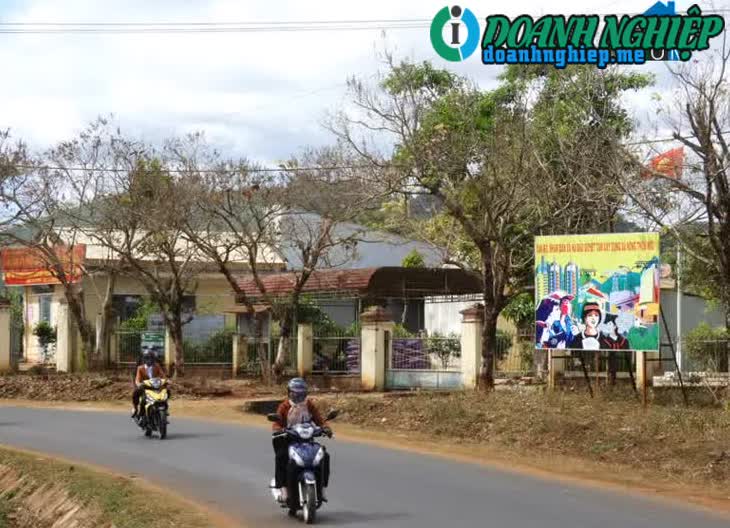 Image of List companies in Ha Bau Commune- Dak Doa District- Gia Lai