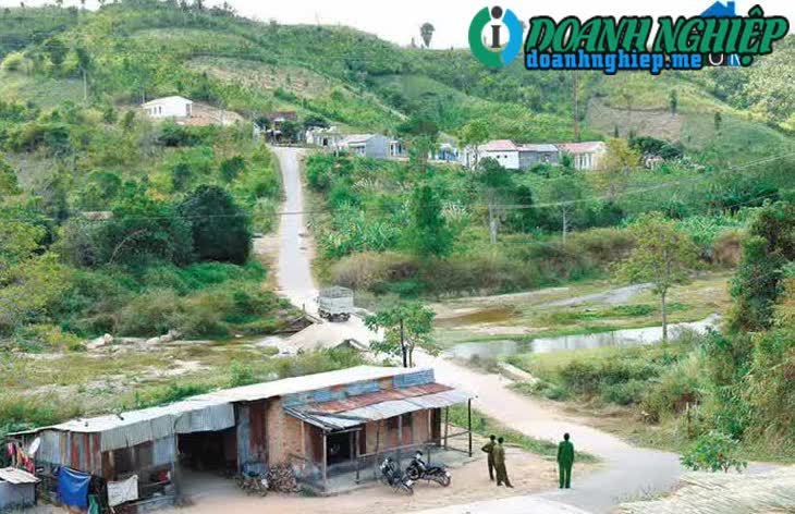 Image of List companies in Ha Dong Commune- Dak Doa District- Gia Lai