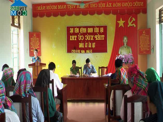 Image of List companies in Ta Lung Commune- Meo Vac District- Ha Giang