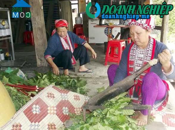 Image of List companies in Nam Ty Commune- Hoang Su Phi District- Ha Giang