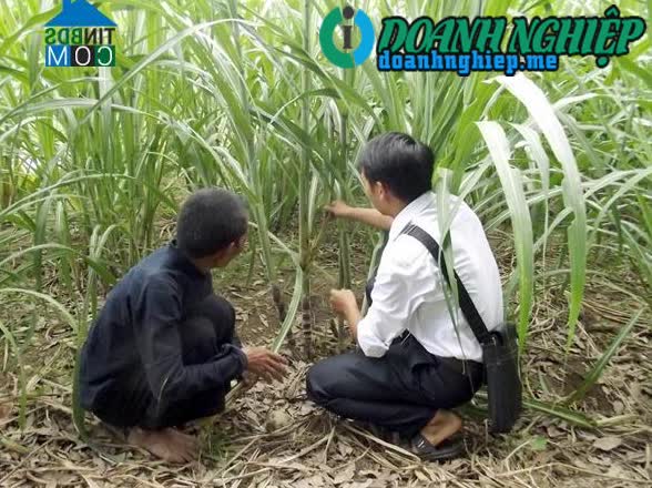 Image of List companies in Ngam Dang Vai Commune- Hoang Su Phi District- Ha Giang