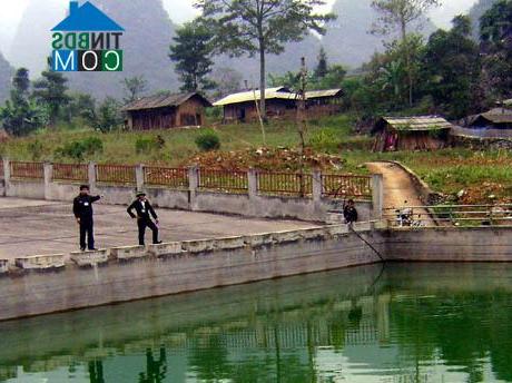 Image of List companies in Lung Ho Commune- Yen Minh District- Ha Giang